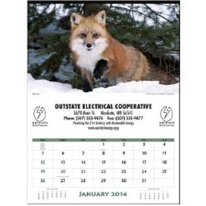 North American Wildlife - Spectacular Animals In Their Own Habitat Are Featured In A 2015 Wildlife Calendar
