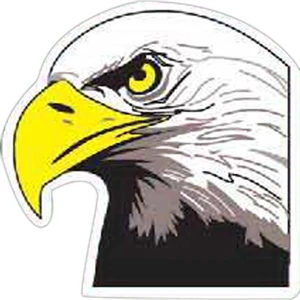 Eagle Head Magnet