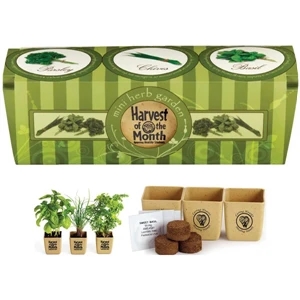 Growpot - Herb Garden Set Made From Reclaimed Organic Materials Fully Biodegradable Fiber Pot