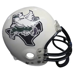 Helmet side decals