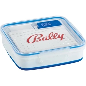 Cool Gear (tm) Storage And Steamer To Go - Collapsible Food Storage And Steamer In One