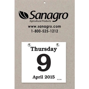 Sullivan (tm) - Foil Stamped Daily Date Calendar With 6" X 5 1/2" Pad And 8 3/8" X 12 3/8" Back