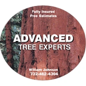 20 Mil Thickness - 2 1/2" X 3" - Highly Durable And Inexpensive Shaped Magnets In A Choice Of Thickness