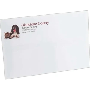 6" x 9" Mailing Envelope - Standard Gum Flap