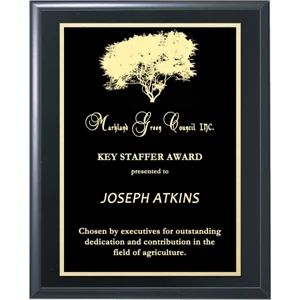 Classic Solid Black Premium Award Plaque