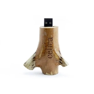 Branch USB Drive