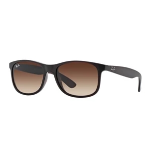 Ray-Ban Andy Sunglasses