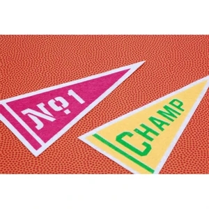 17" x 40" Wool Felt Pennant with Wood Pole - Class C