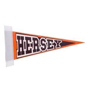 5" x 12" Colored Felt Pennant