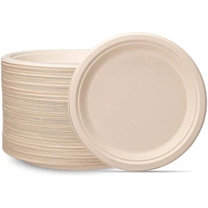 Compostable 11.8 Inch Paper Plates