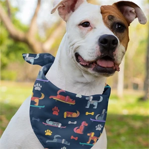 Pet Bandana Full Color