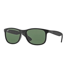 Ray-Ban Andy Sunglasses