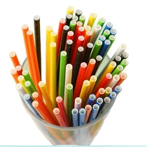 Paper Straw Set - 25pcs