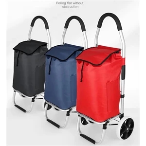 Grocery Shopping Cart with Removable Bag