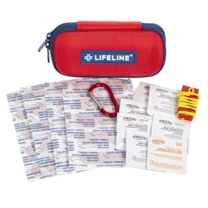 Small Hard-Shell Foam First Aid Kit - 30-Piece