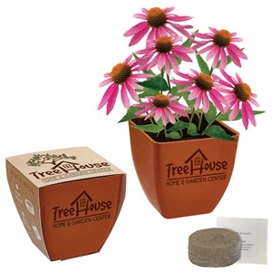 Terracotta