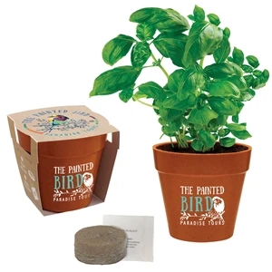 Terracotta