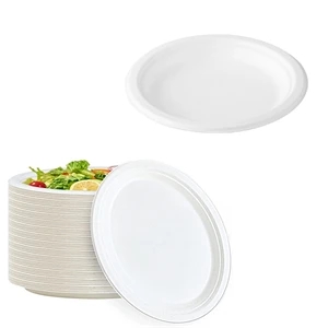 7" Disposable Paper Plate