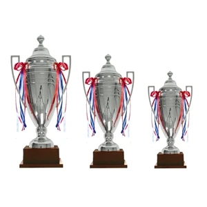 Silver Cast Metal Trophy Cup