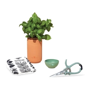 Modern Sprout® Growing Gourmet Gift Set