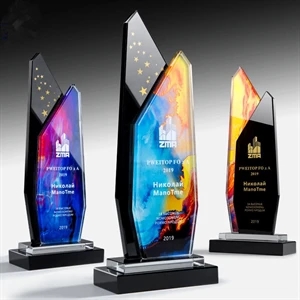 Enterprise Curve Award - Mediun