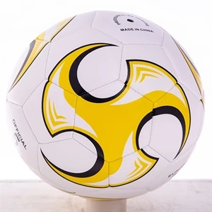 Soccer Training Ball