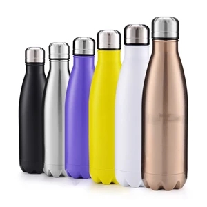 Stainless Steel Sport Water Bottle Leak-Proof