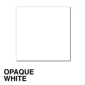 Magnet - 2.25" Square - Full Color