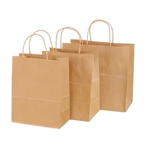 Brown Shopping Paper Bags