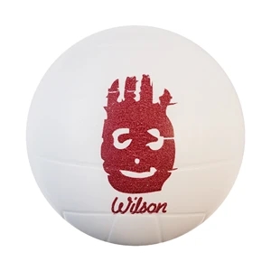 Volleyball Stress Ball