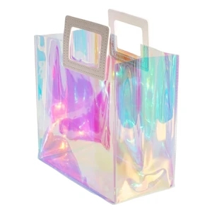 Iridescent Christmas Wedding Gift Bag with Handle