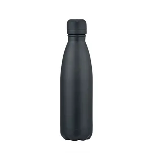 Slate 17oz Vaccuum Bottle