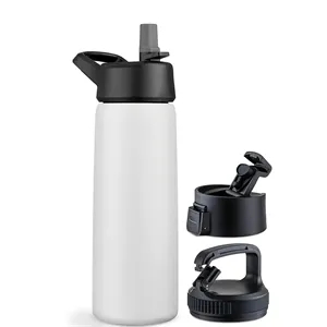Custom Logo Triple-Insulated Stainless Steel Water Bottle with Straw Lid