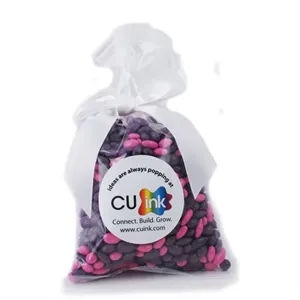 Chocolate Sunflower Seeds in Stand Up Mug Drop Bag with Bow