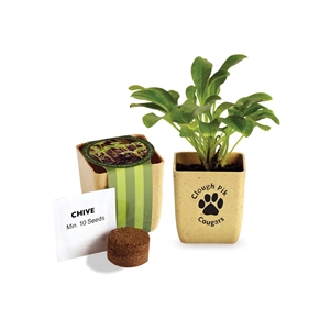 Flower Pot Set With Chive Seeds