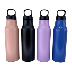 20 oz  Stainless Steel Bottle