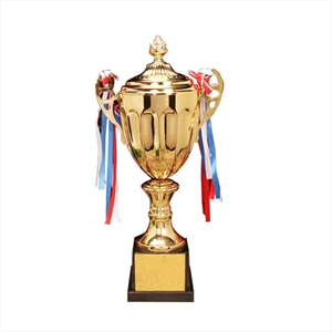 Custom Large Trophy Cup for Sport Tournaments