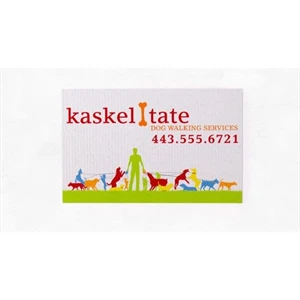 Magnets - Full Color Standard, Various Sizes