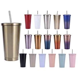 Insulated Stainless Steel Water Cup With Straw