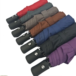 Windproof Travel Umbrella Auto Open Close Compact Folding