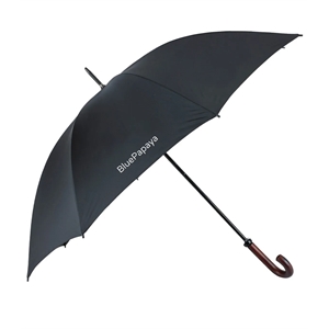 Custom Logo The Doorman Umbrella