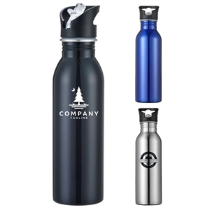 25OZ Insulated Straw Water Bottles