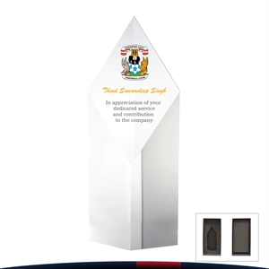 Socler Diamond Block Award