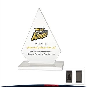 Dorti Summit Crystal Award