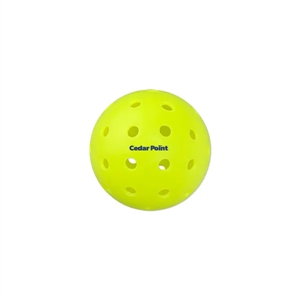 40 Hole Outdoor Seamless Pickleball