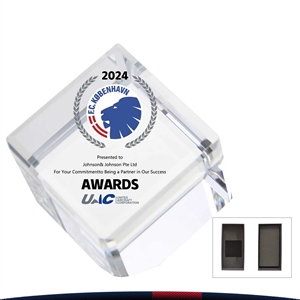 Winno Crystal Cube Award