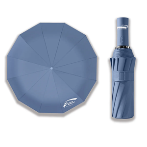 Portable Windproof Fully Automatic Folding Umbrella
