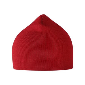 Atlantis Headwear Sustainable 8" Beanie