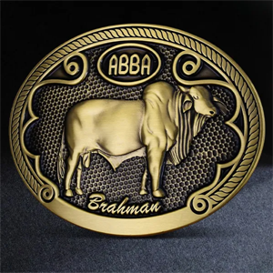 Custom Shaped Classic Belt Buckle