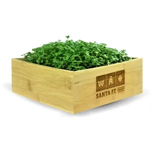 Microgreens Desktop Grow Kit